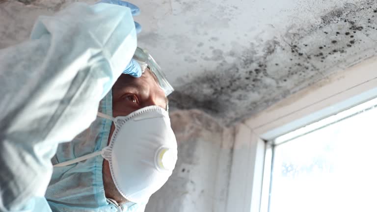 Mold Documentation for Insurance Claims in Culpeper, VA